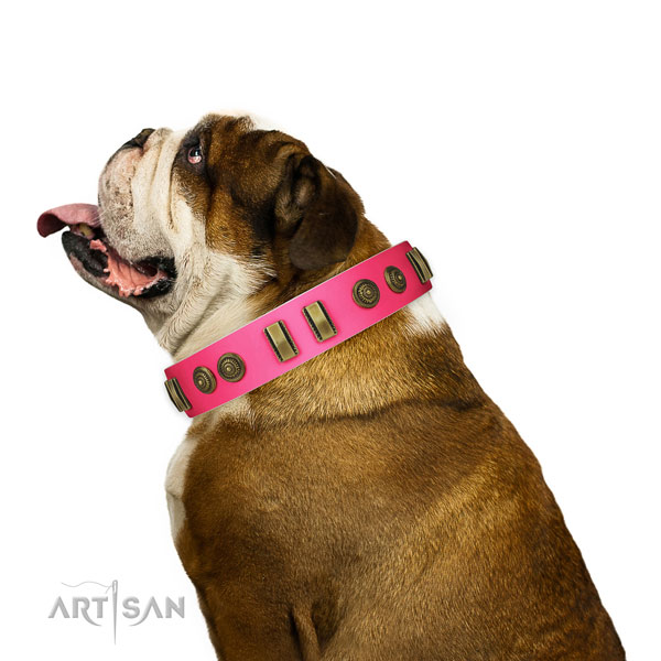 Everyday use dog collar of natural leather with stunning embellishments