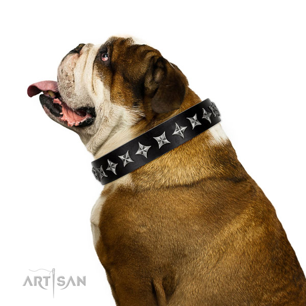 Comfy wearing adorned dog collar of finest quality leather