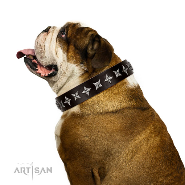 Comfortable wearing decorated dog collar of strong natural leather