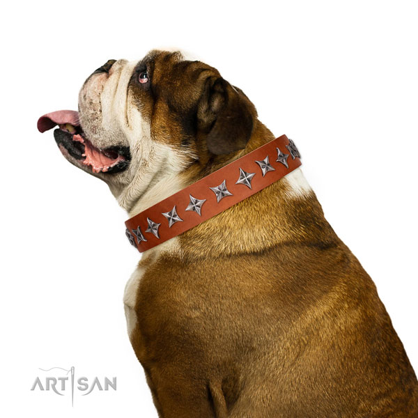 Finest quality genuine leather dog collar with significant studs