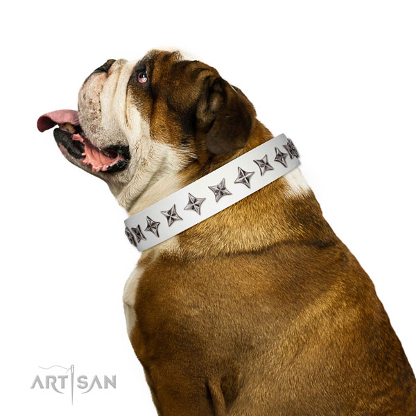 High quality full grain leather dog collar with amazing embellishments