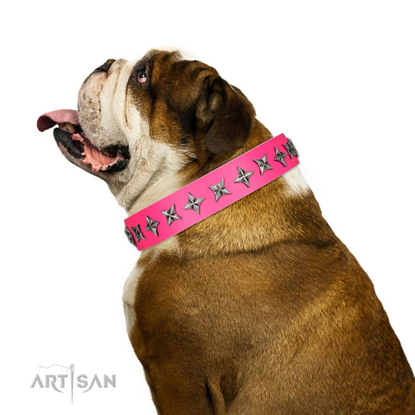 High quality natural leather dog collar with designer decorations