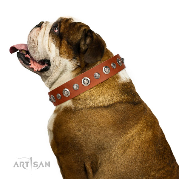 Top quality leather dog collar with unusual decorations