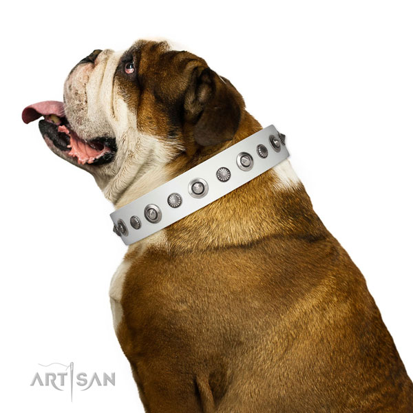 Full grain genuine leather collar with corrosion proof buckle for your attractive pet