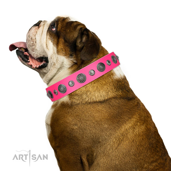 Convenient full grain leather dog collar with rust resistant buckle