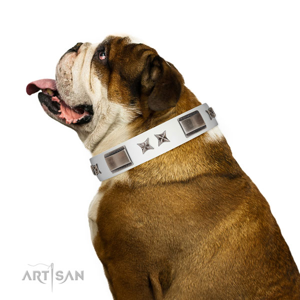 Top quality collar of full grain natural leather for your attractive four-legged friend