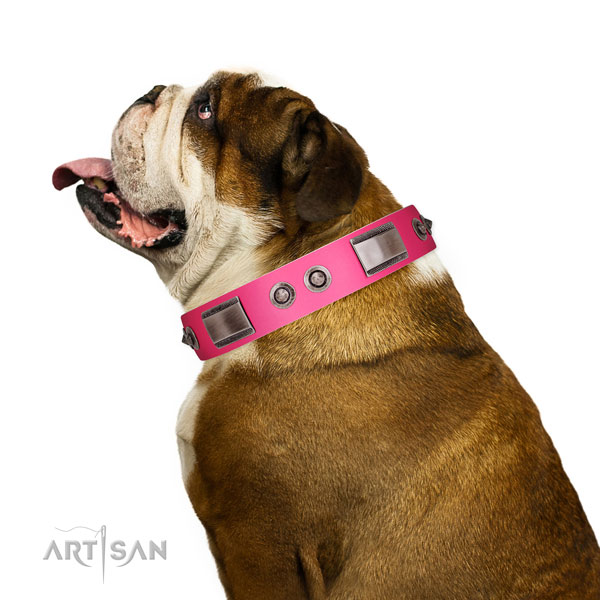 Extraordinary genuine leather dog collar with studs