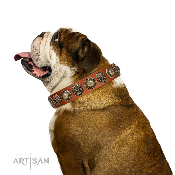 Fine quality leather collar for your stylish pet