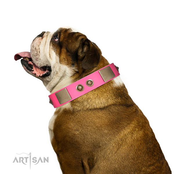 Daily walking dog collar of leather with stylish adornments