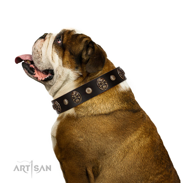Stylish full grain natural leather collar for your beautiful four-legged friend