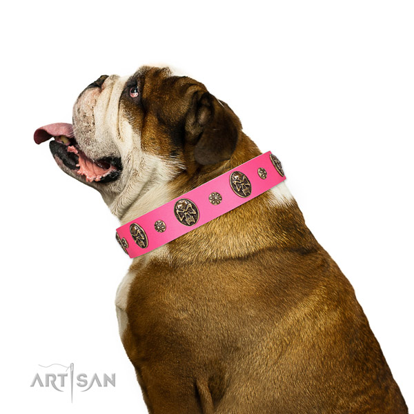 Unusual dog collar handcrafted for your stylish doggie