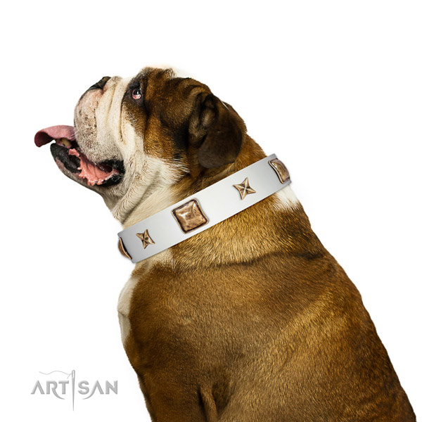 Fine quality leather dog collar with decorations