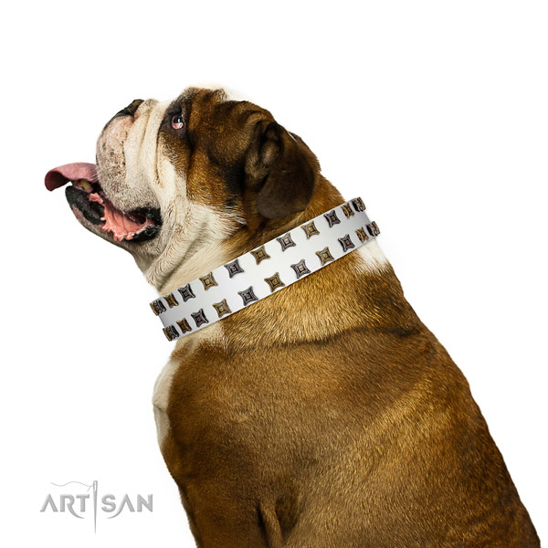 Flexible leather dog collar with studs for your doggie