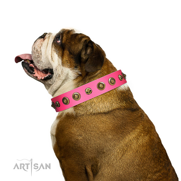 Stylish design full grain genuine leather dog collar with studs
