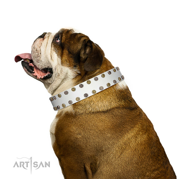 Impressive full grain genuine leather dog collar with rust-proof decorations