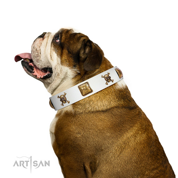Unique full grain genuine leather dog collar with strong embellishments