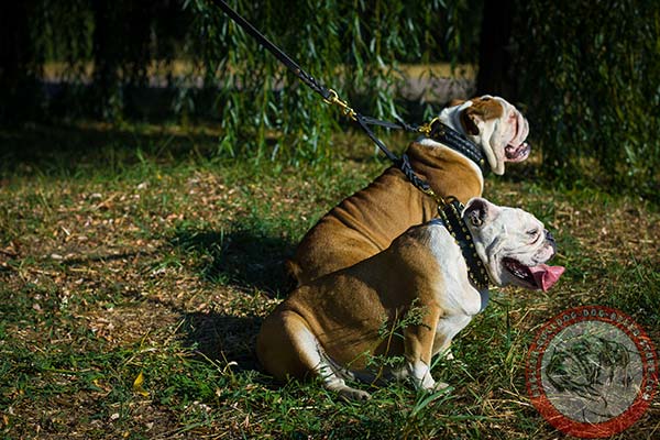 Extremely strong leather dog collar