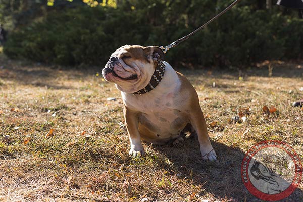 Non-rubbing dog natural leather collar