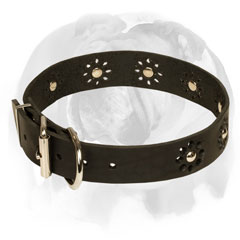 English Bulldog Leather Collar Flower Decorated for Walking