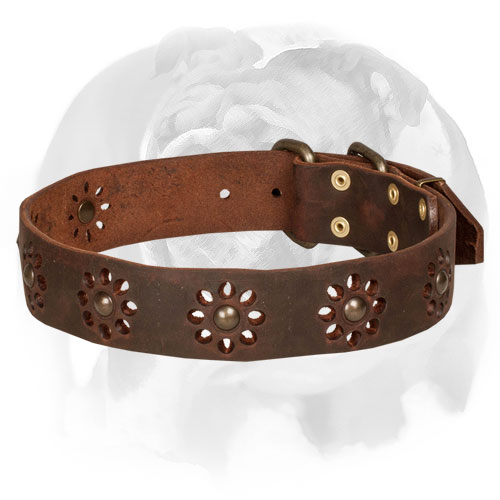 English Bulldog Leather Dog Collar With Unique Flower Design