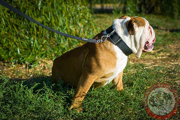 Tear-resistant English Bulldog nylon collar