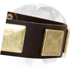 English Bulldog collar with rust-proof hardware