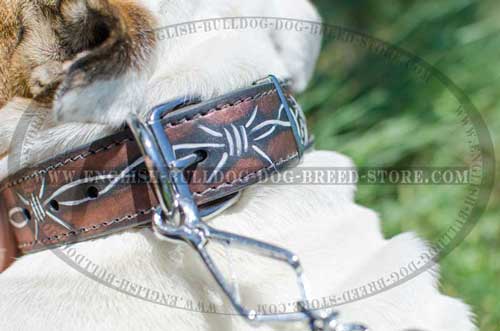 Best choice leather dog collar for English Bulldog breed