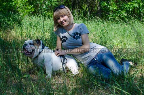 Gentle leather dog collar for English Bulldog breed