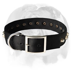 English Bulldog collar super durable