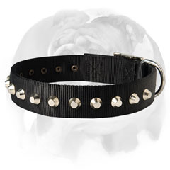 English Bulldog breed nylon collar with nickel decorations