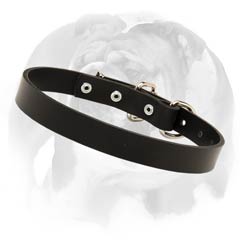 English Bulldog leather collar