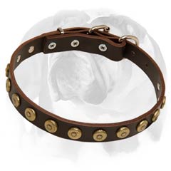 English Bulldog leather dog collar with dotted circles