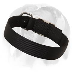 English Bulldog nylon collar