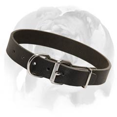 English Bulldog leather collar