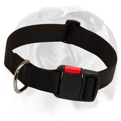English Bulldog nylon collar