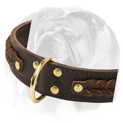 English Bulldog collar with rust-proof D-ring and buckle