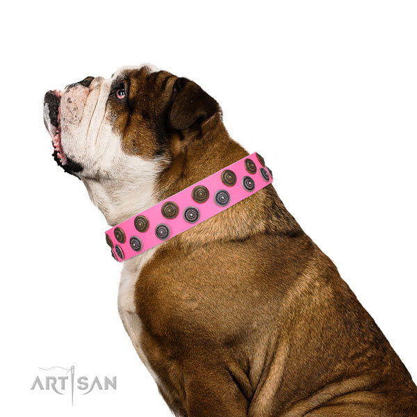 English Bulldog stylish natural genuine leather dog collar for basic training