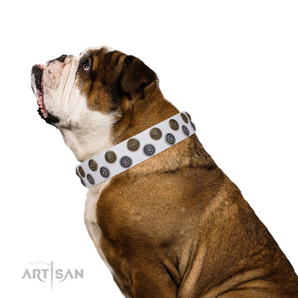 English Bulldog top quality genuine leather dog collar for walking