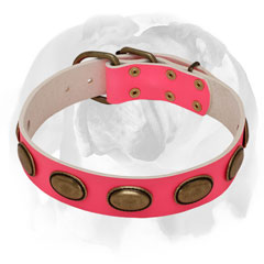 Non-toxic paint leather dog collar for English Bulldog breed