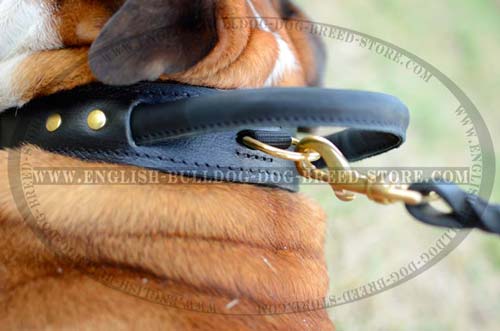 English Bulldog durable leather collar