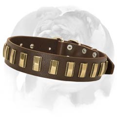 Fancy Leather dog collar for english bulldog 
