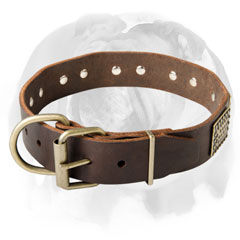 Durable english Bulldog dog Collar