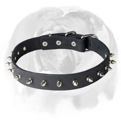 Fashionable leather dog collar for English Bulldog breed with 1 row spikes