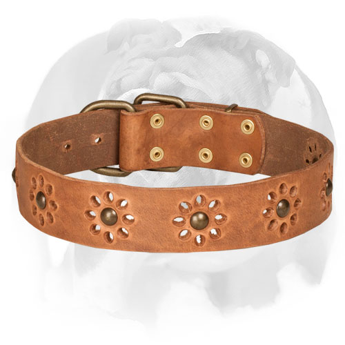  English Bulldog Leather Collar for Stylish Walking