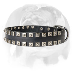 Handmade leather dog collar for English Bulldog breed