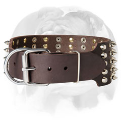 Leather dog collar for English Bulldog breed