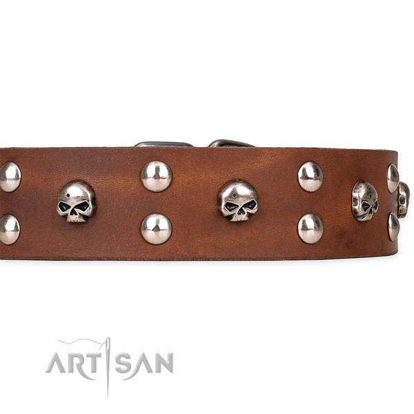 Full grain genuine leather dog collar with polished leather strap