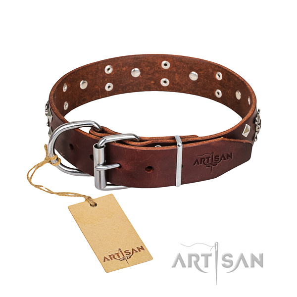 Strong leather dog collar with durable fittings