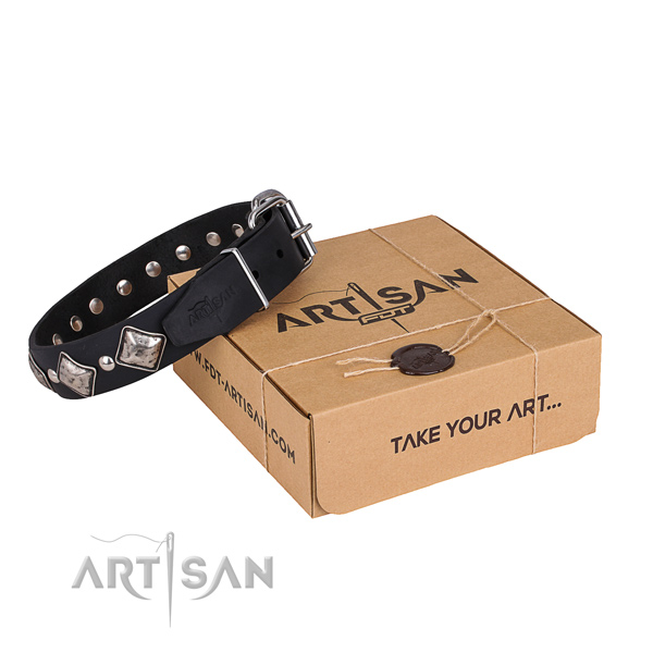 Casual leather dog collar with fashionable embellishments