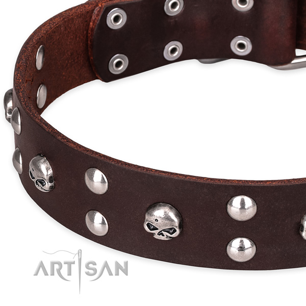 Casual style leather dog collar with unique design embellishments